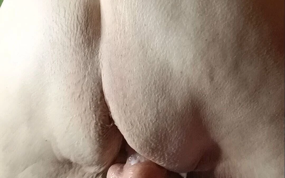 The Toilet Papers Running From All Her Cumming