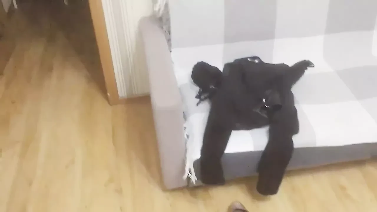 Amateur Cuckold